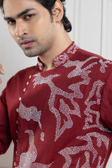 Scarlet Vine Embroidered Kurta